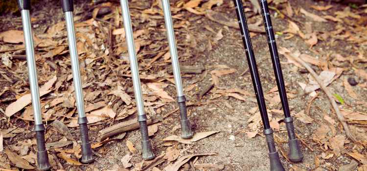 best Hiking Sticks