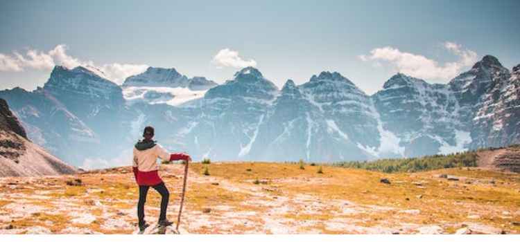 Best Collapsible Walking Sticks For Seniors