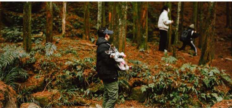 adaptive hiking Gear 