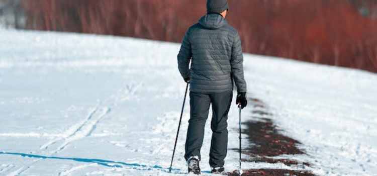 Hiking sticks and trekking poles for outdoor hiking