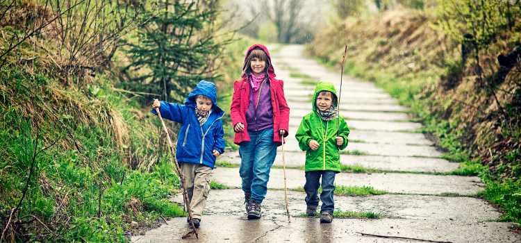 Best Hiking Shoes for Muddy Trails