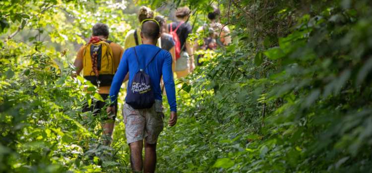 is trail wolf hiking legit