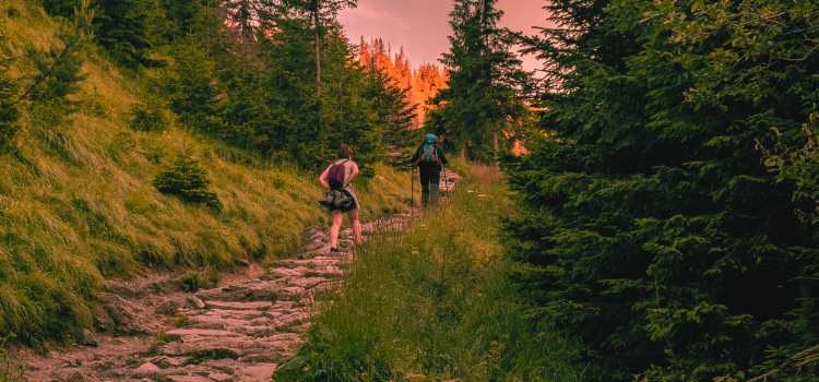 what is unparalleled hiking