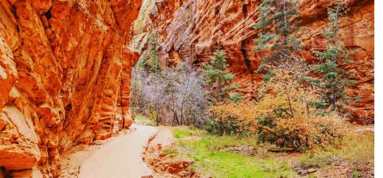 Angels Rest Trail