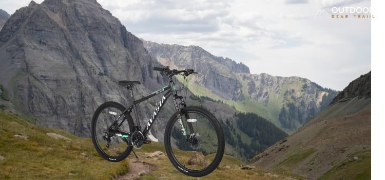 Best Mountain Biking Trails