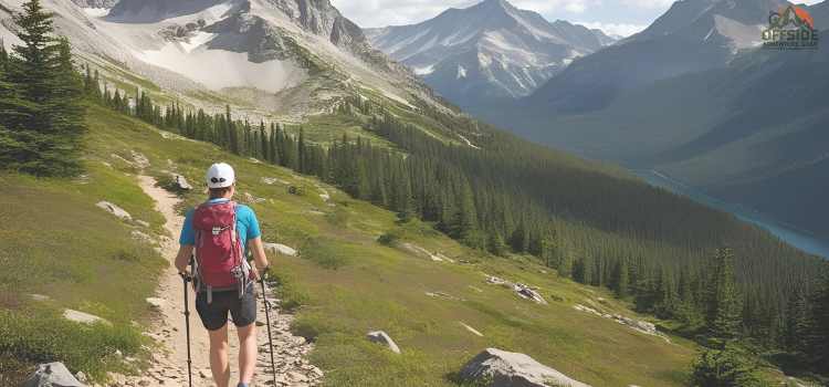 Hiking the Majestic Trails