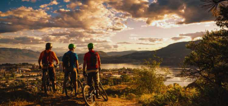 Mountain Biking Trails 