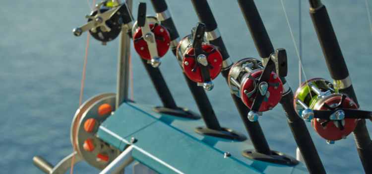 Best Kayak Fishing Gear