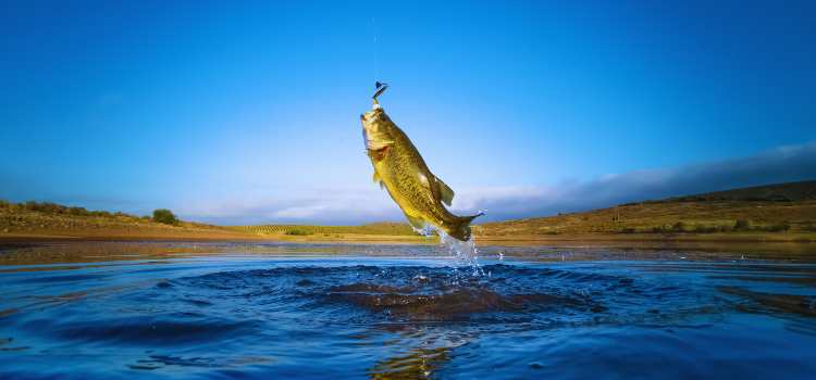 best Fishing Spots