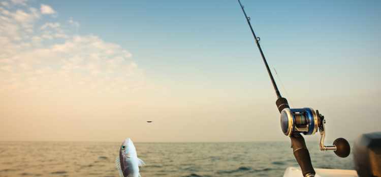 Best Fishing Spot for You