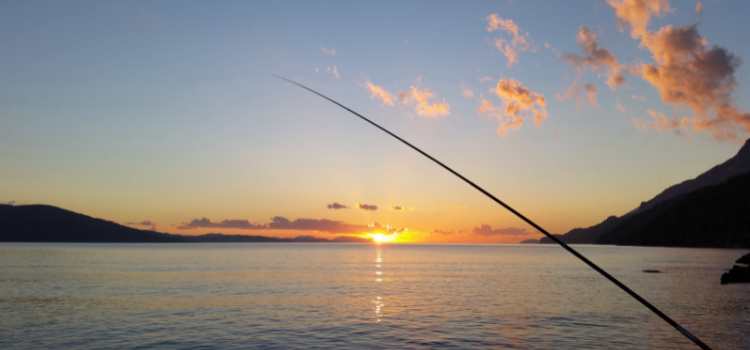 best fishing spots