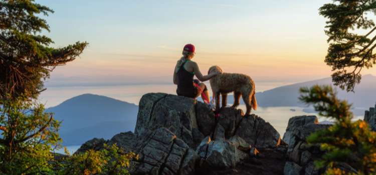 dog friendly hiking trails