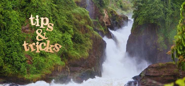 tips & tricks of hiking
