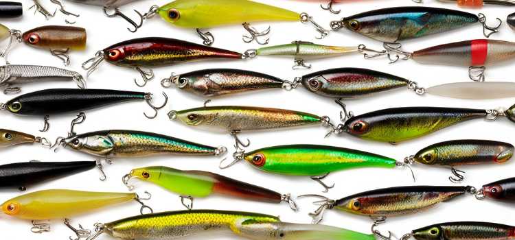 Best Baits and Lures