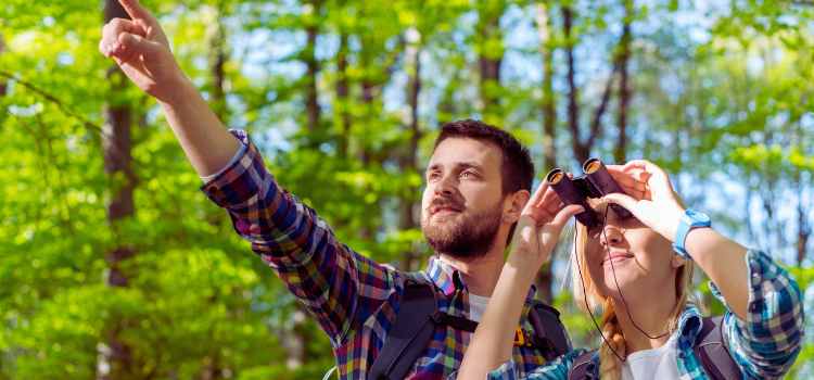 Best-compact-binoculars-for-hiking