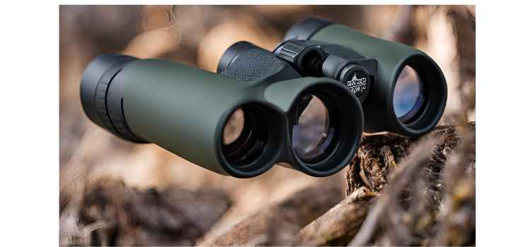 Binoculars for Hunting