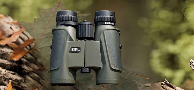 Choosing the Right Binoculars