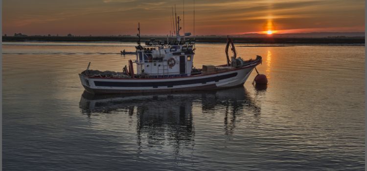 best Fishing Boat