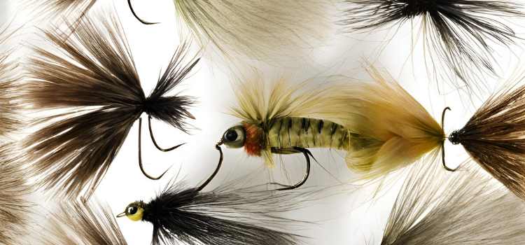 Fishing Dry Flies