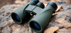 The Best Lightweight Binoculars for Backpacking: A Comprehensive Guide Lightweight Binoculars for Backpacking