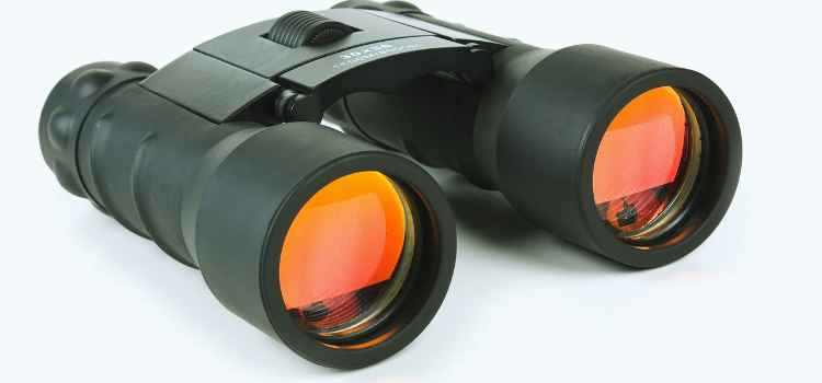 Maven C1 ED