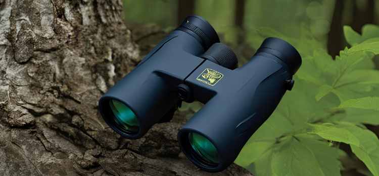 Night Owl Pro Nexgen