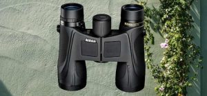 best hunting binoculars under $500