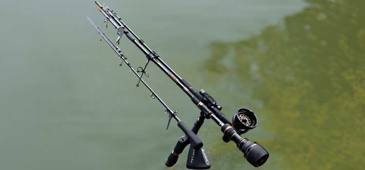 Best Telescopic Fishing Rods