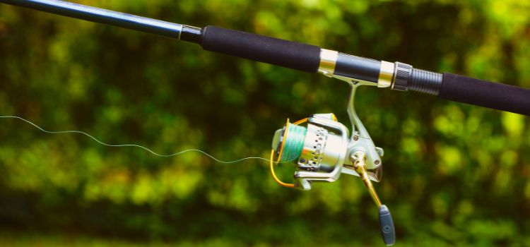 best cheap telescopic fishing rod