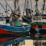 How to Find Affordable Fishing Boats