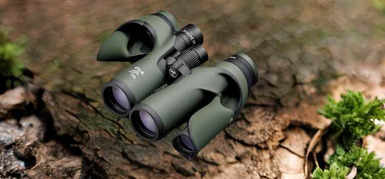 vortex hunting binoculars