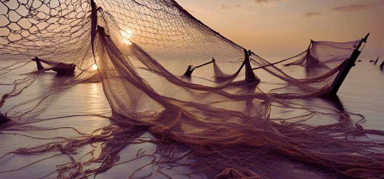 Best Fishing Nets