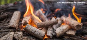 Best Pine Mountain Fire Starters