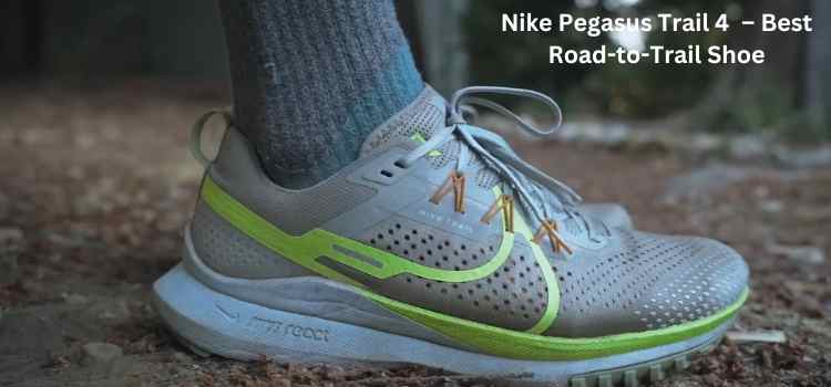 Nike Pegasus Trail 4