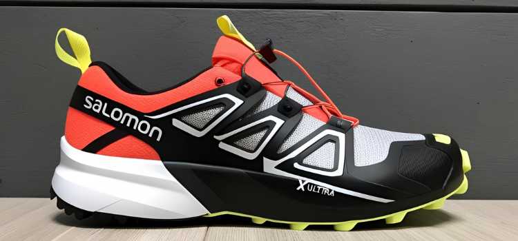 Salomon X Ultra 4