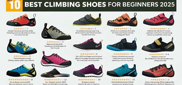 best rock climbing shoes for beginners