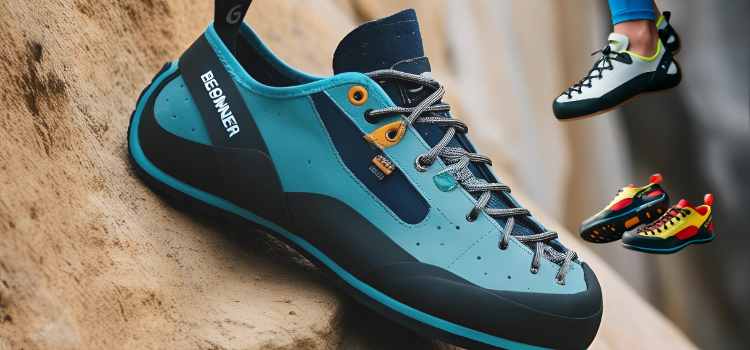 Best Beginner Climbing Shoes