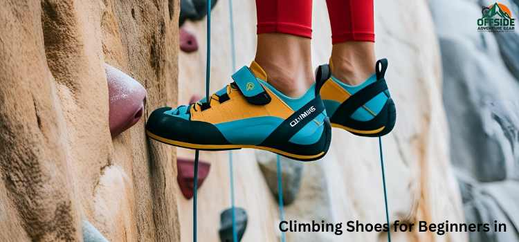 Best Climbing Shoes for Beginners