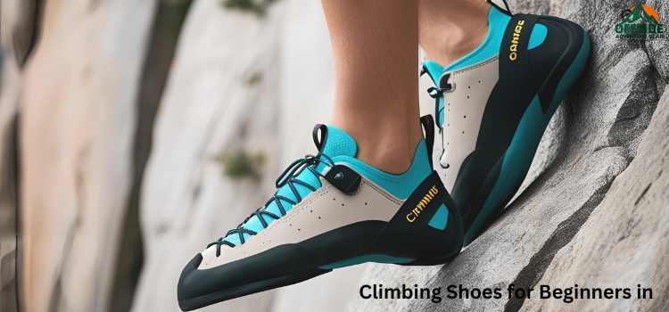 best climbing shoes for beginners