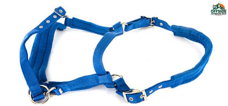 best climbing harness