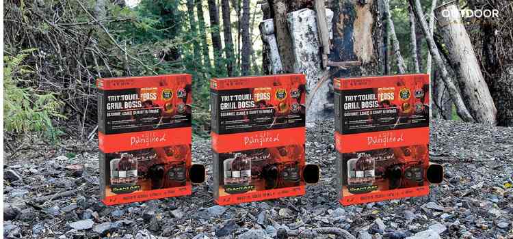 dual fuel stoves for camping