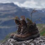 Best Steel Toe Hiking Boots