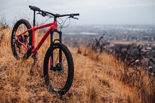 Check Deal on AliExpress