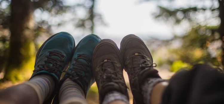 hiking boots vs trekking shoes