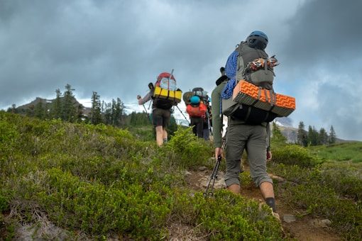 best compression sacks for backpacking