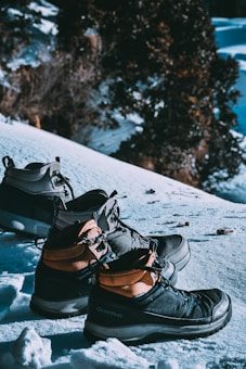 Hiking shoes