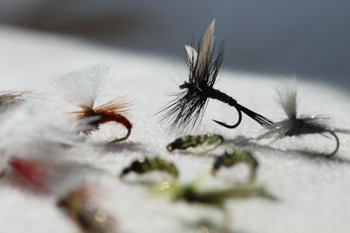 Fly floatant and sinkant