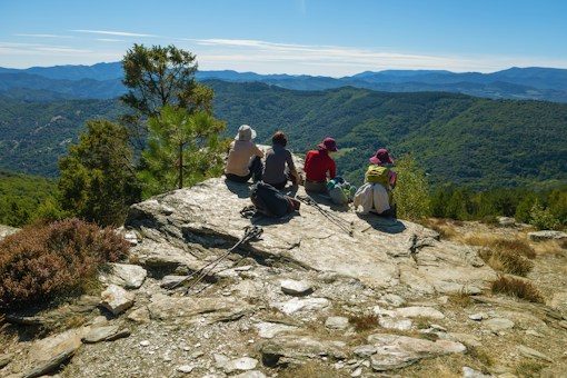 Hiking Sticks vs. Hiking Staff